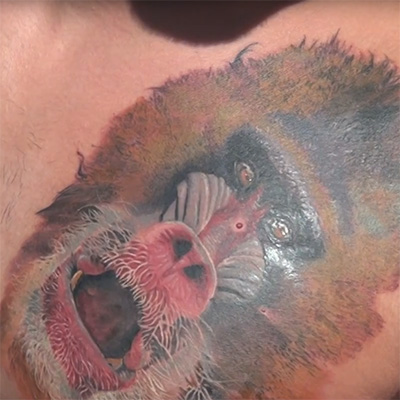 Tattoo Contest